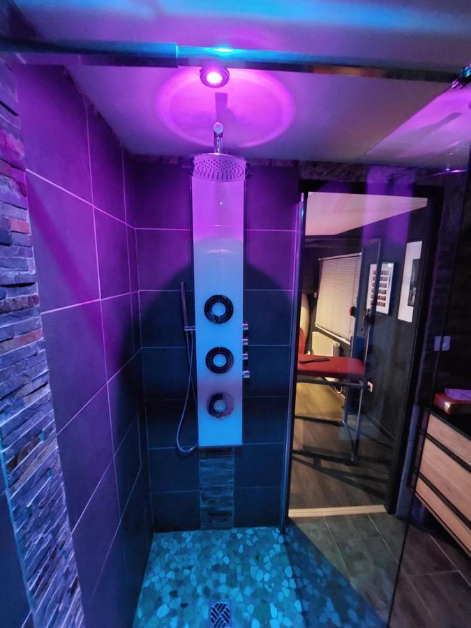 Plaisir Extreme Appartement Roanne Buitenkant foto