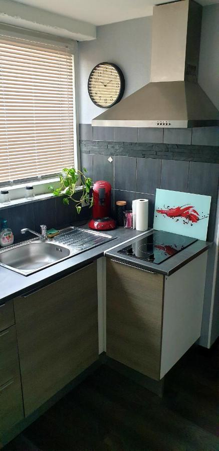 Plaisir Extreme Appartement Roanne Buitenkant foto